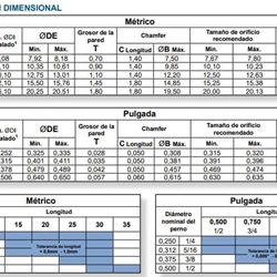 CAMISAS ALINEACION DB100 - Imagen 2