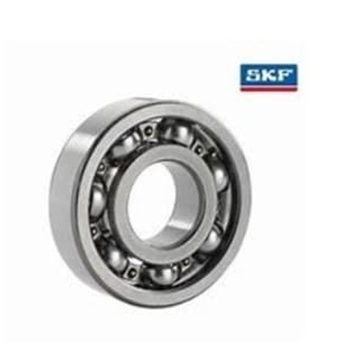 RODAMIENTO SKF E 6004 - Imagen 1
